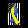 American Flag Down Syndrome-10 DTF Transfer