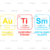 Adult (12" Wide)