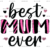 Adult (12" Wide)