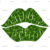 Adult (12" Wide)