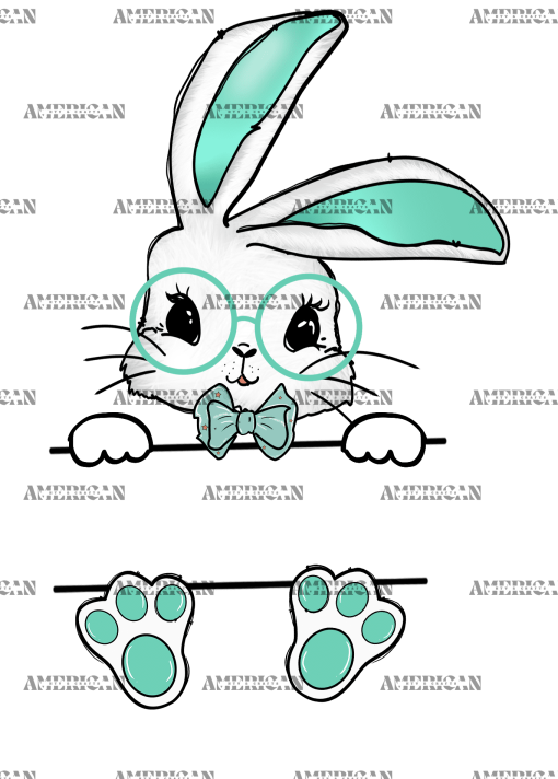 Easter Bunny Name Frame DTF Transfer