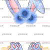 Easter Bunny Name Frame Blue Sunflower DTF Transfer