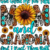 Adult (12" Wide)