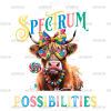I Believe In A Spectrum Of Possibilities DTF Transfer