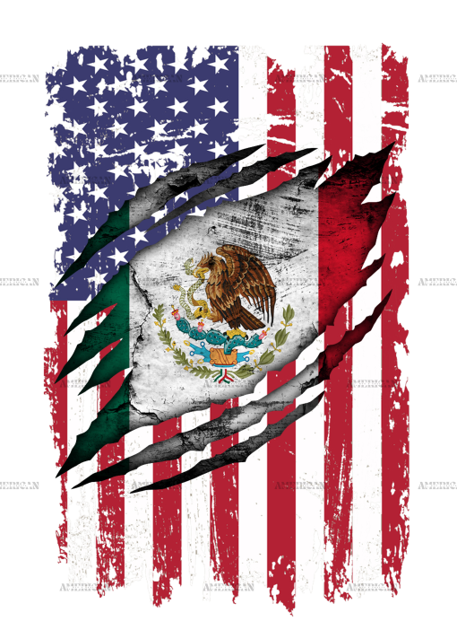 Mexican American Flag Dtf Transfer