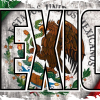 Mexico Bandera DTF Transfer