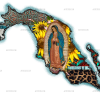 Our Lady Of Guadalupe Mexico Map Dtf Transfer