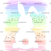 Rainbow Shade Bunny DTF Transfer
