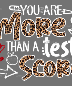 You Are More Than A Test Score White DTF Transfer