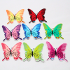 Charming Butterflies Patch (Small/Embroidery)