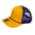Gold/Purple