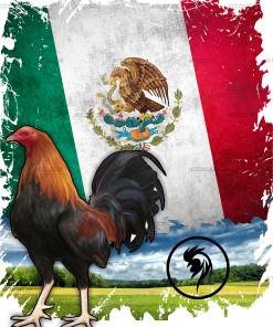 Gallo Rooster Dtf Transfer