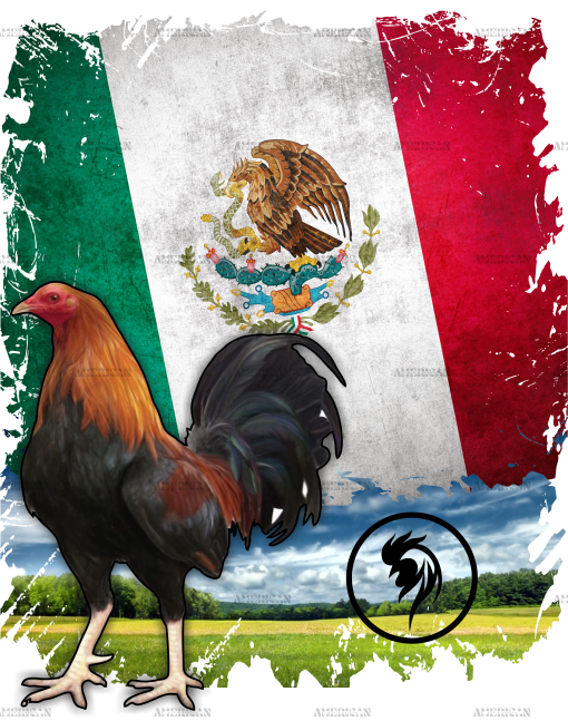 Gallo Rooster Dtf Transfer