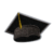 Graduation Hat