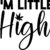 Adult (12" Wide)