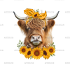 Highland Cow Sunflowers DTF Transfer