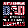 Just A Regular Dad Trying Not To Raise Liberals DTF Transfer