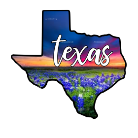 Texas Sunset Blue Bonnets DTF Transfer