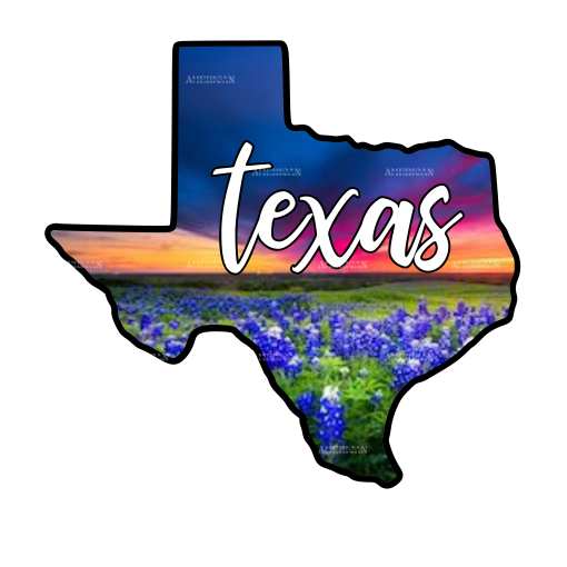 Texas Sunset Blue Bonnets DTF Transfer
