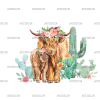 Western Heifers DTF Transfer