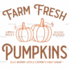 Farm Fresh Pumpkins Hand Picked DTF Transfer