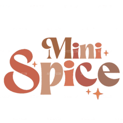 Mini Spice DTF Transfer