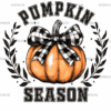Pumpkin Season-14 DTF Transfer