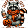 Thankful Blessed Racoon DTF Transfer